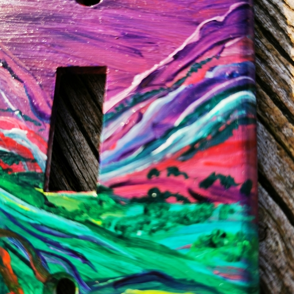 Handpainted Plastic Light Switch Plate - Picture 4 of 12